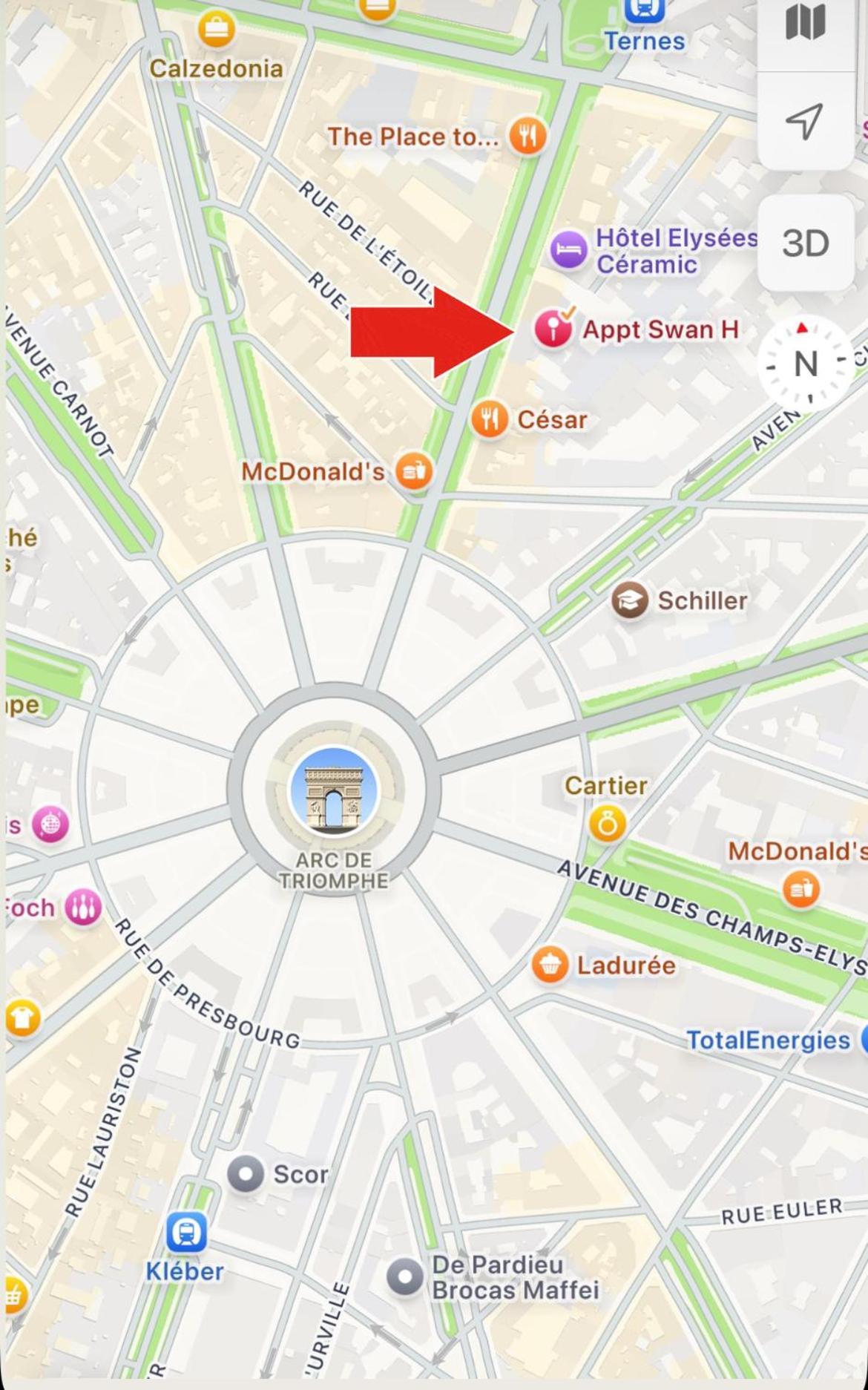 Swan House Champs Elysee * Parigi