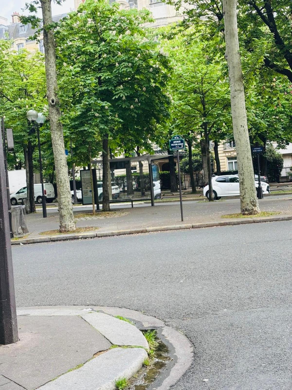 Foch Champs Elysee Apartment Paris