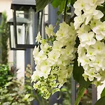 La Villa Madame