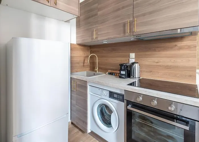 Appartement Metro Alexandre Dumas - II