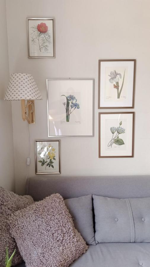 Authentic House Small, Bright And Calm Apartment *