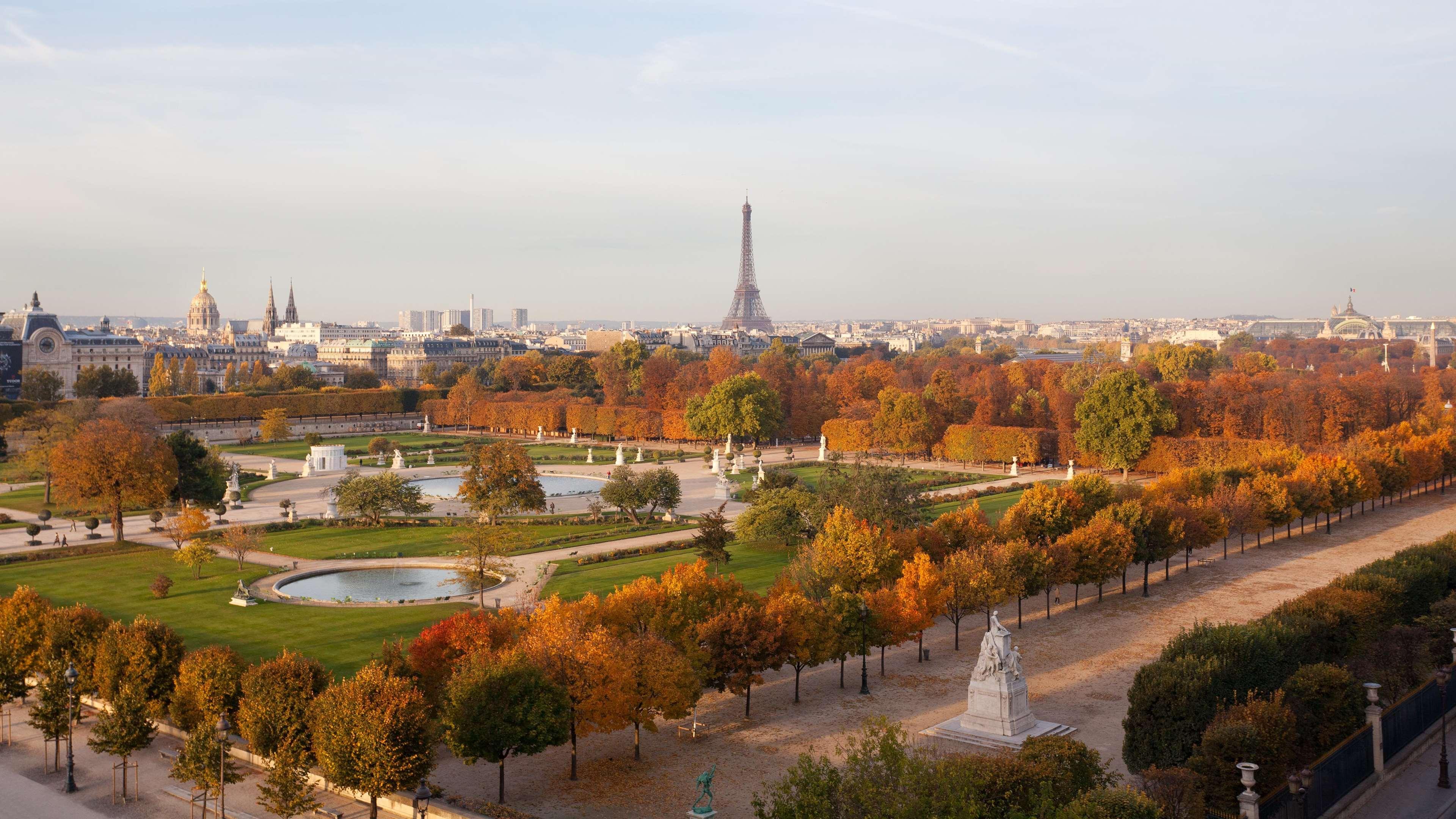 Regina Louvre