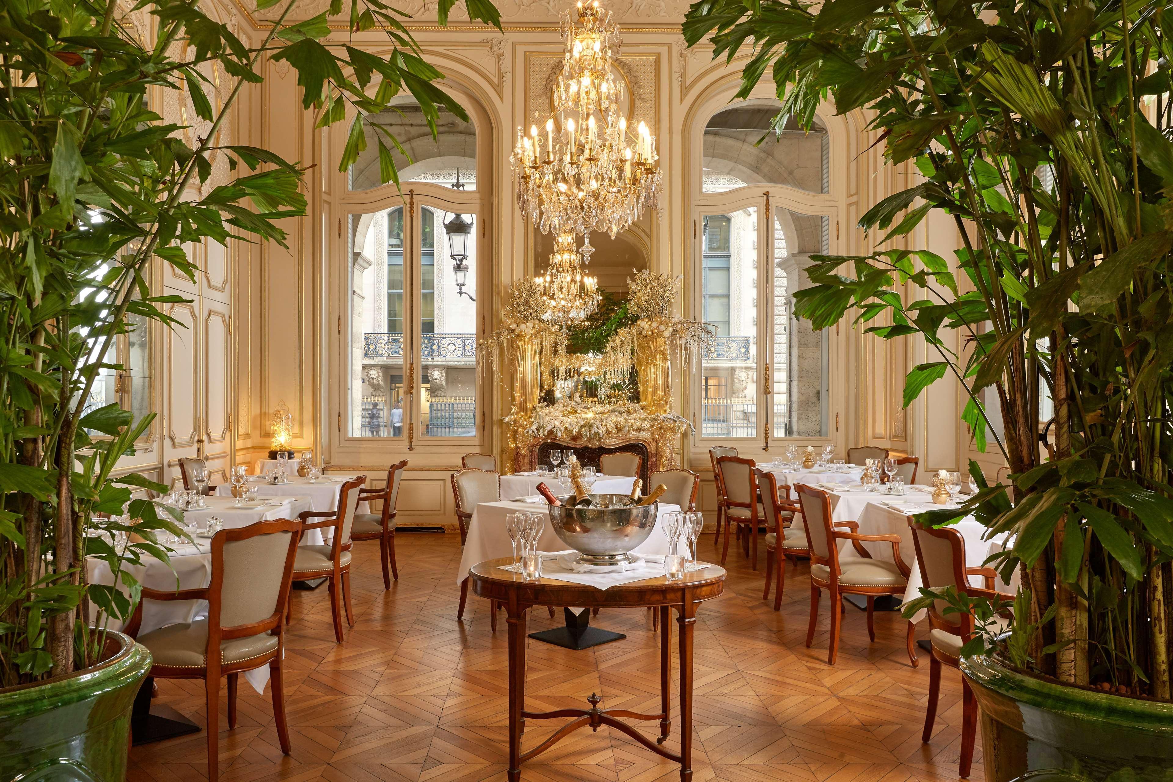 Regina Louvre