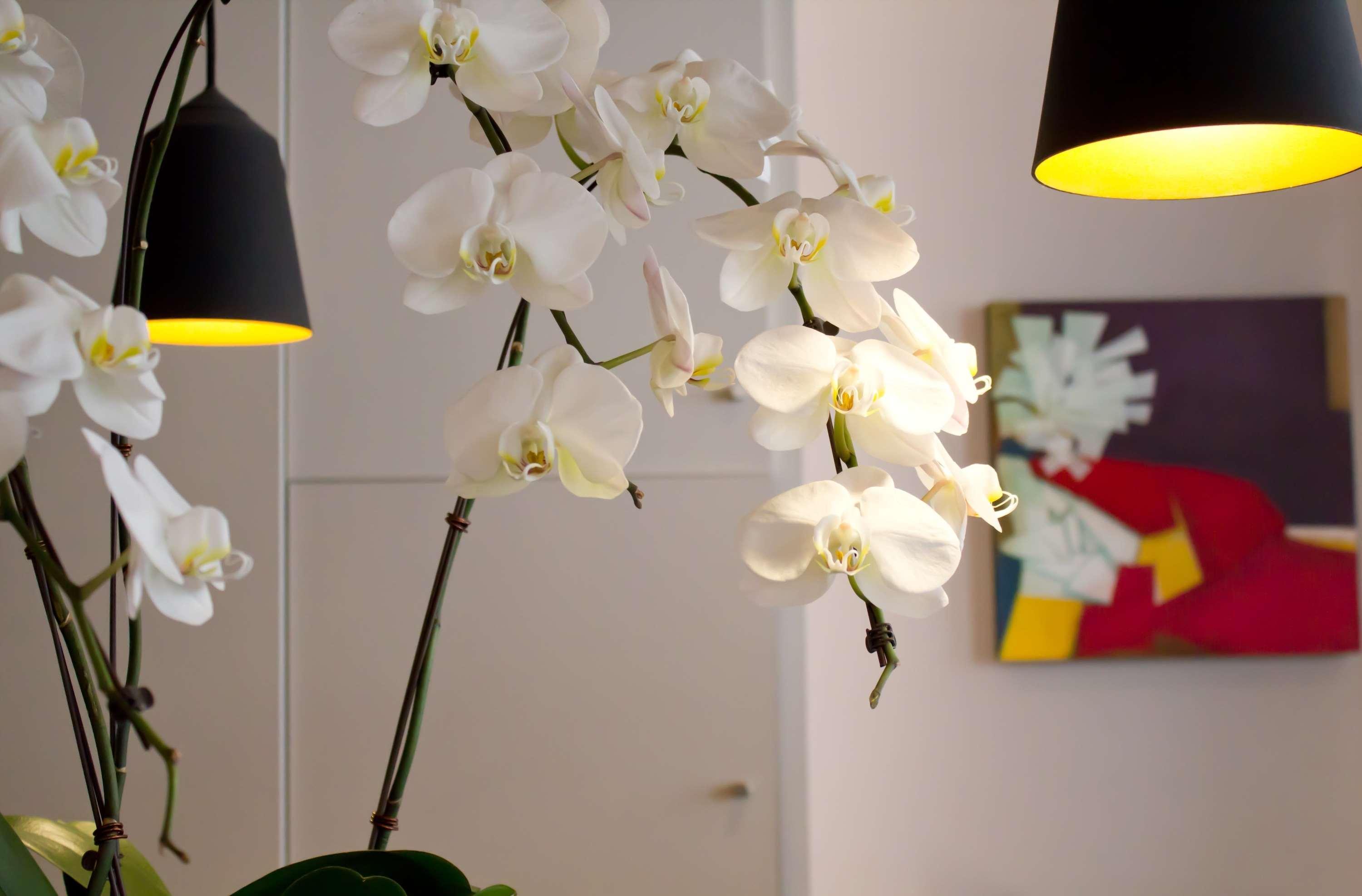 Jardin De Cluny Hotel Parigi