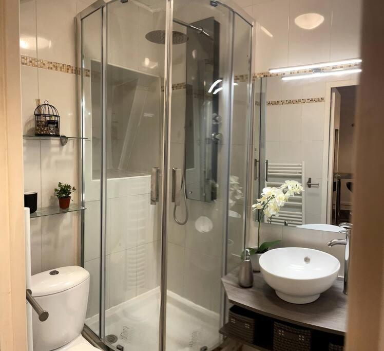 Cozy Studio Chatelet 1 Appartamento *