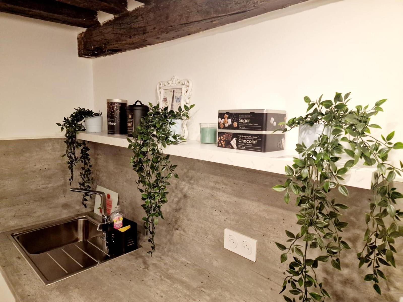 Au Coeur Du Paris. Apartment Paris