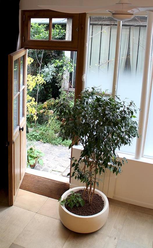 Atelier D'artiste / Artist Loft / 35m2