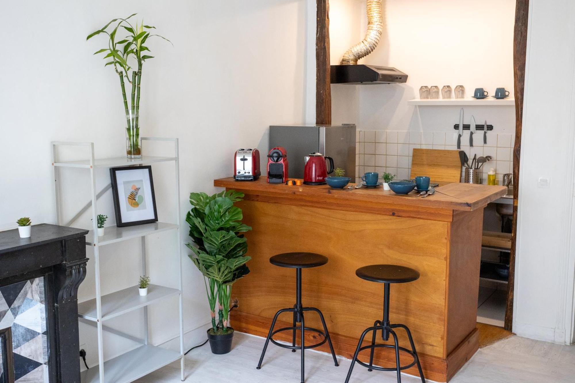 Luxury Parisian Notre Dame Saint Germain Des Pres Apartment