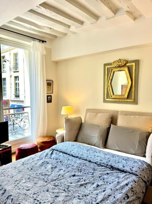 Beautiful Flat In Saint-germain *