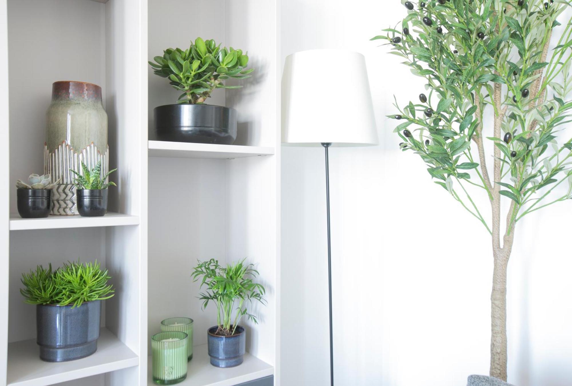 Magnificient 2 Bedrooms With Terrace Next To Champs-elysees - Pc62b Appartamento Parigi