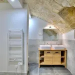 Merveilleux Loft 15ième
