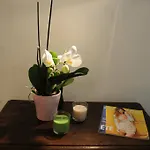 Studio Cosy Rue Saint Jacques
