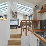 Amazing Mazarine Studio