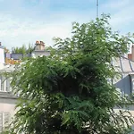 Charming Studio Of 23 M Close To The Sacre-Coeur