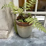Cozy Apartment Near Marais On Rue Trousseau