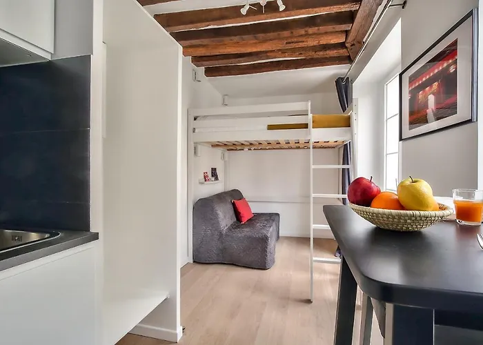 Lovely Mezzanine Studio In The Heart Of Paris 3M