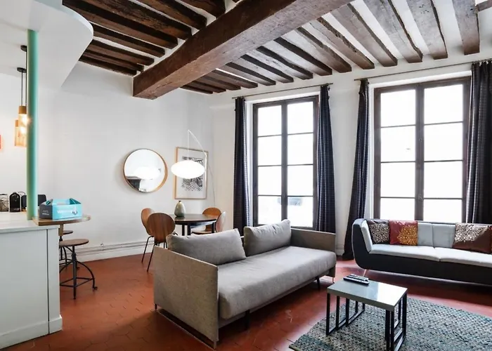 Parisian flat wterrace in Saint Michel-Notre Dame