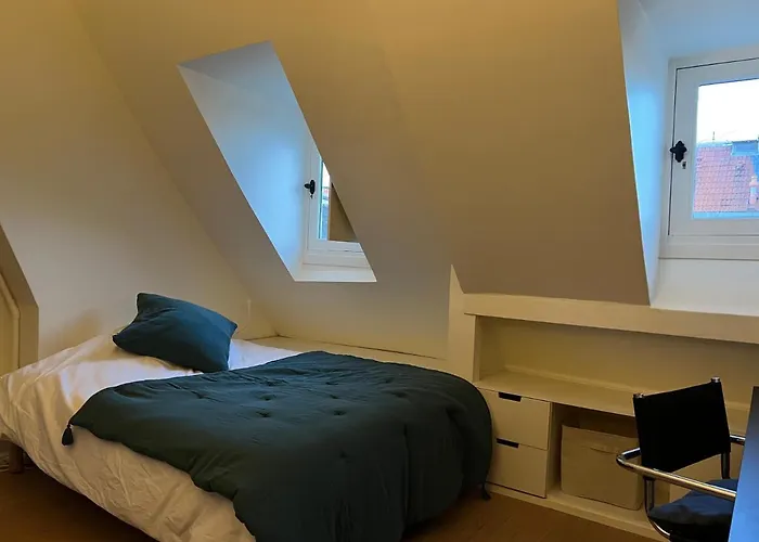 Marais - Appartement Sur Les Toits