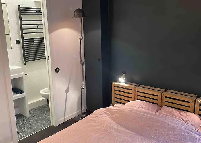 Typical Stylish Parisian Studio - Bastille Area