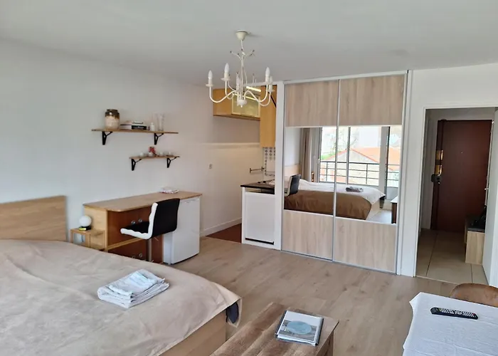 Chic Parisian Studio Retreat Bright Spacious And Secure Parking