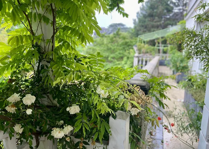 Villa Ananda Huo