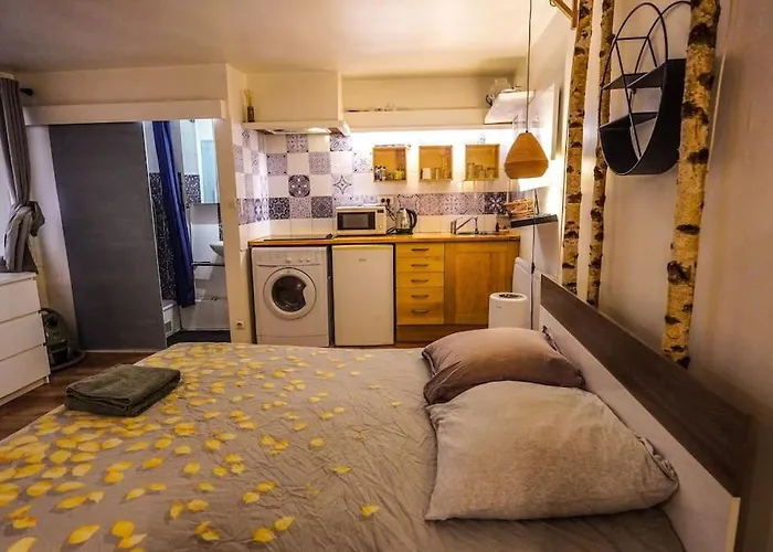 Cozy Studio In The Heart Of Paris