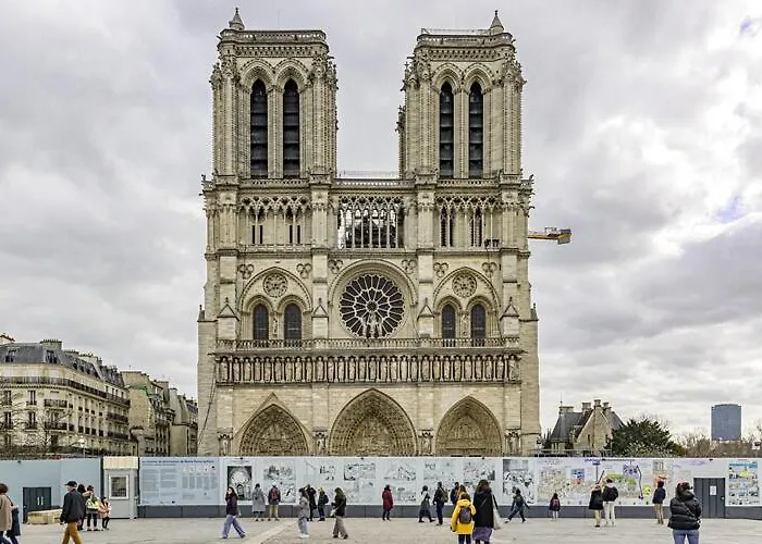 Lovely Studio Next To Notre-Dame