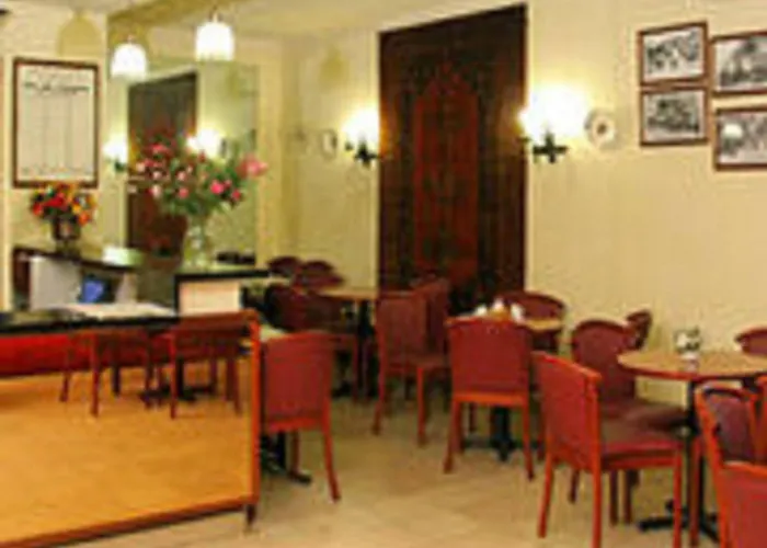 Camelia International