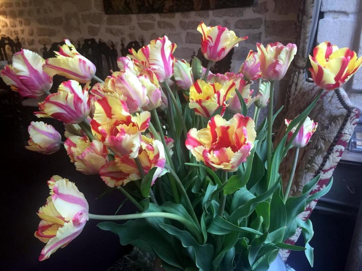 Hotel Boutique De La Place Des Vosges
