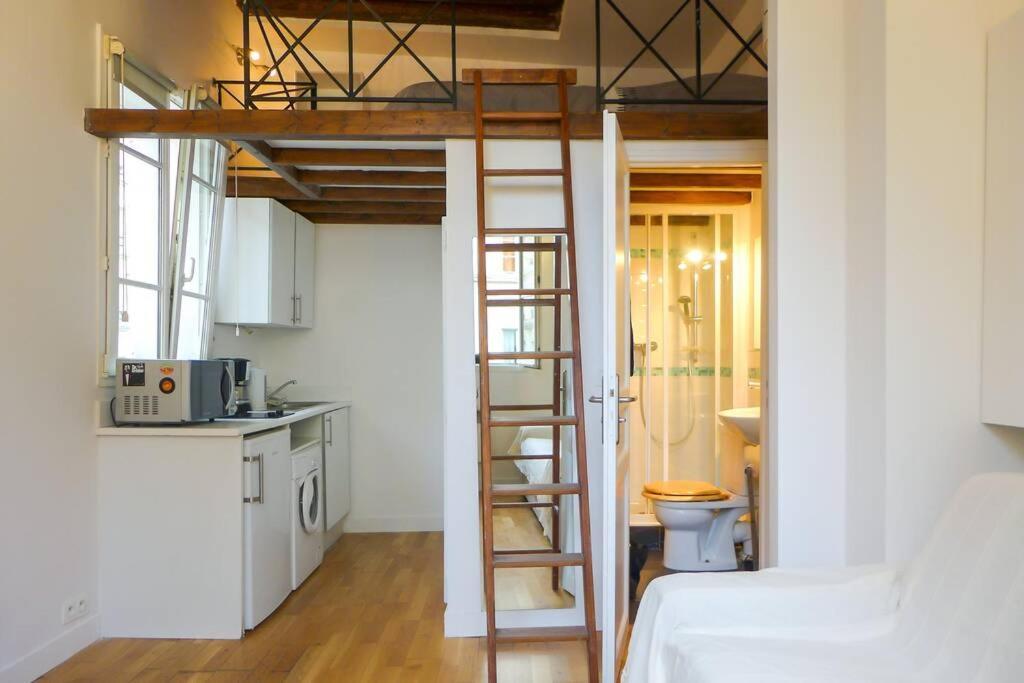 Chatelet Hyper Central Studio With Mezzanine Apartment