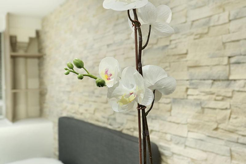 Le Marais By Prestige *