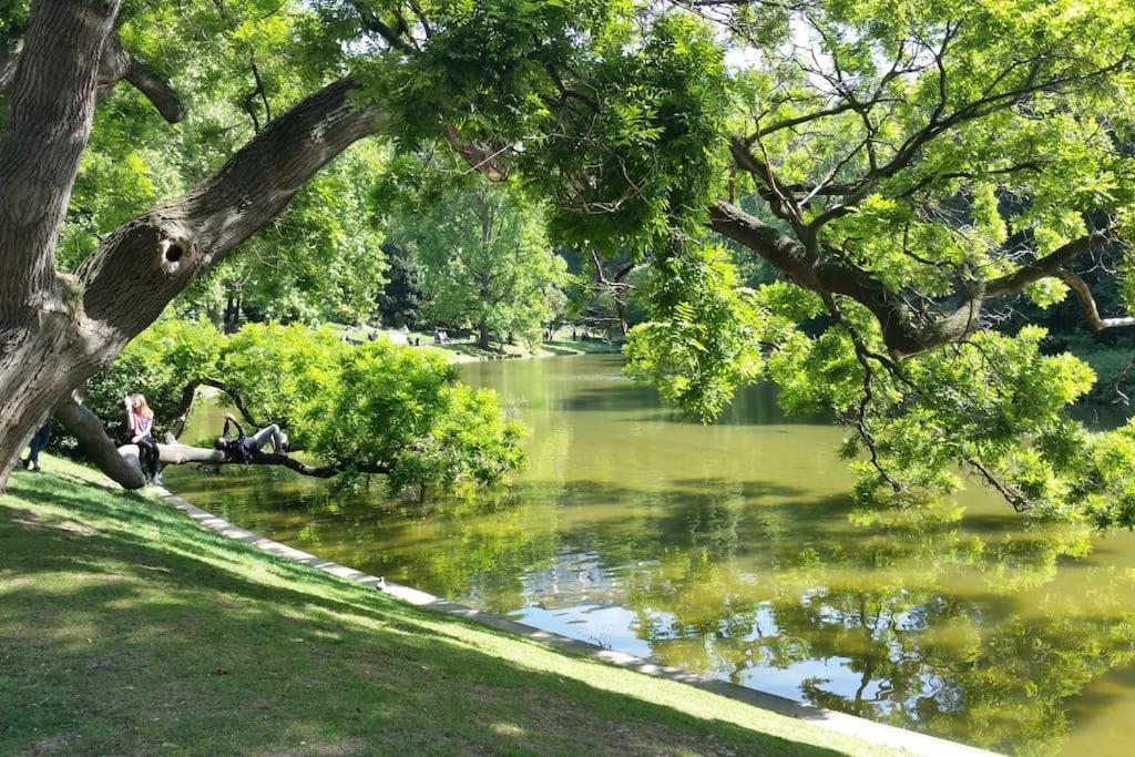 Superbe Duplex Avec Jardin Partage à Menilmontant *