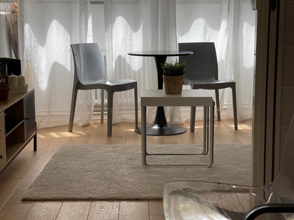 16 Victor Hugo Superbe Apartment Paris