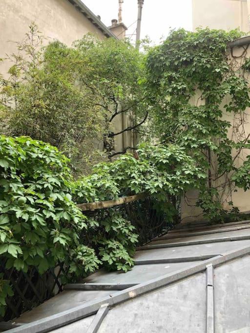 : Superbe 2 Pièces Jardin Des Plantes. Parigi