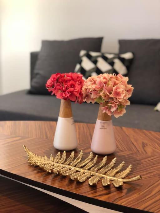 In The Heart Of The Marais With Air Conditioning Apartment