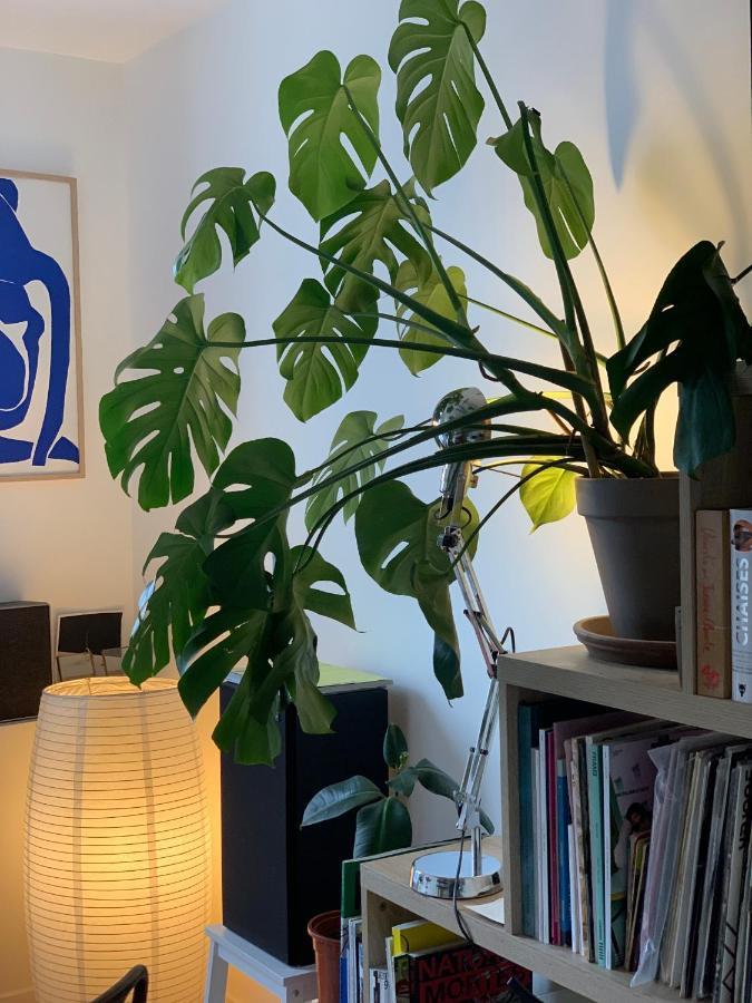 Apartment Studio Lumineux Pres Montmartre Paris
