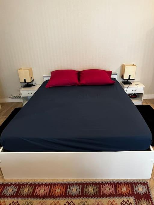 Cosy Au Coeur De