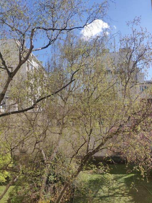 Appartamento Studio Calme Et Lumineux, Parking Disponible, 100m De Nation *