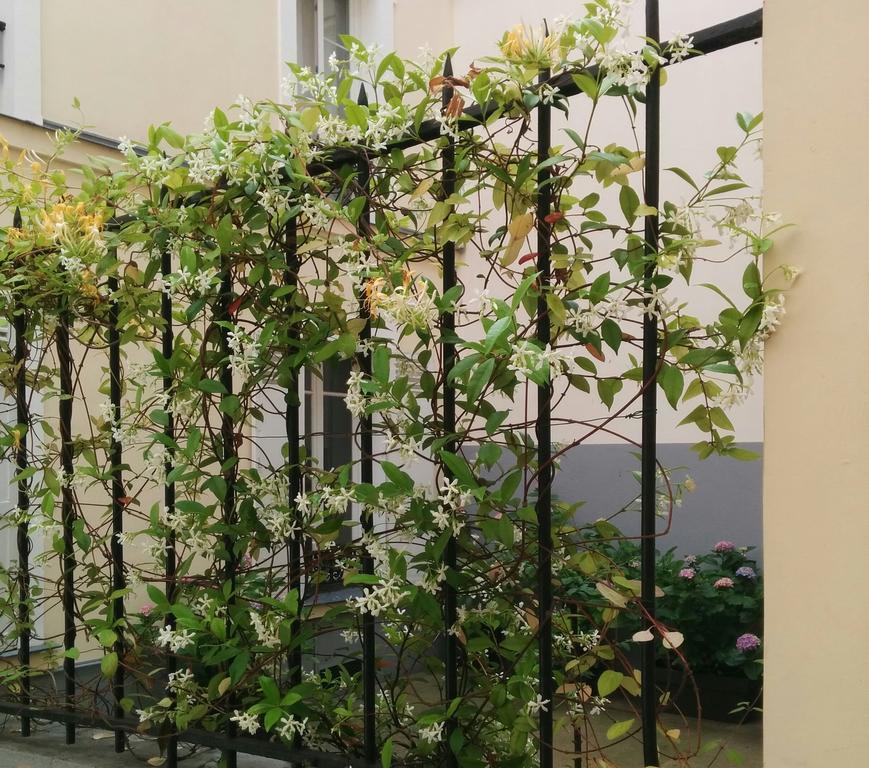 La Cour Du 5eme - D'hotes Bed & Breakfast Paris