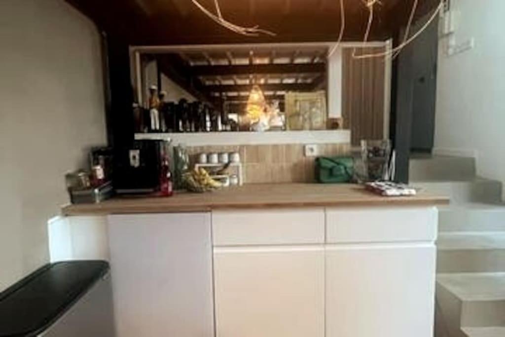 Loft Familial Avec Grand Jardin Verdoyant Casa vacanze Parigi