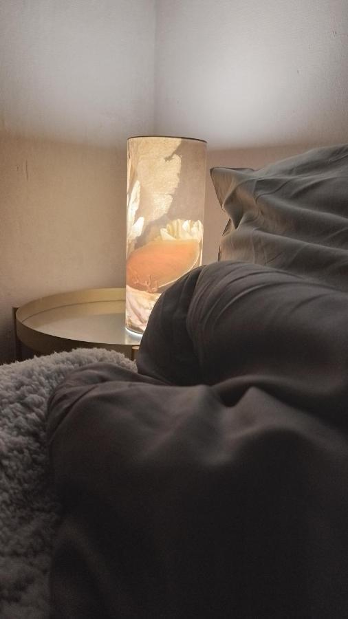 Homestay Charmante Spacieuse Et Lumineuse *