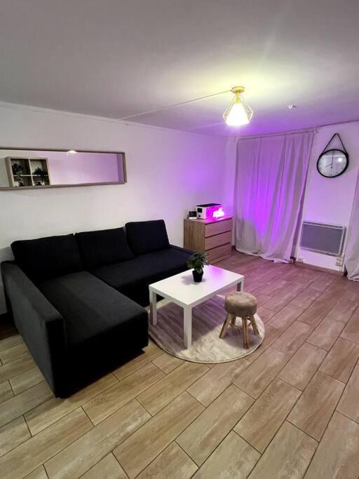 Centre Ideal Apartment