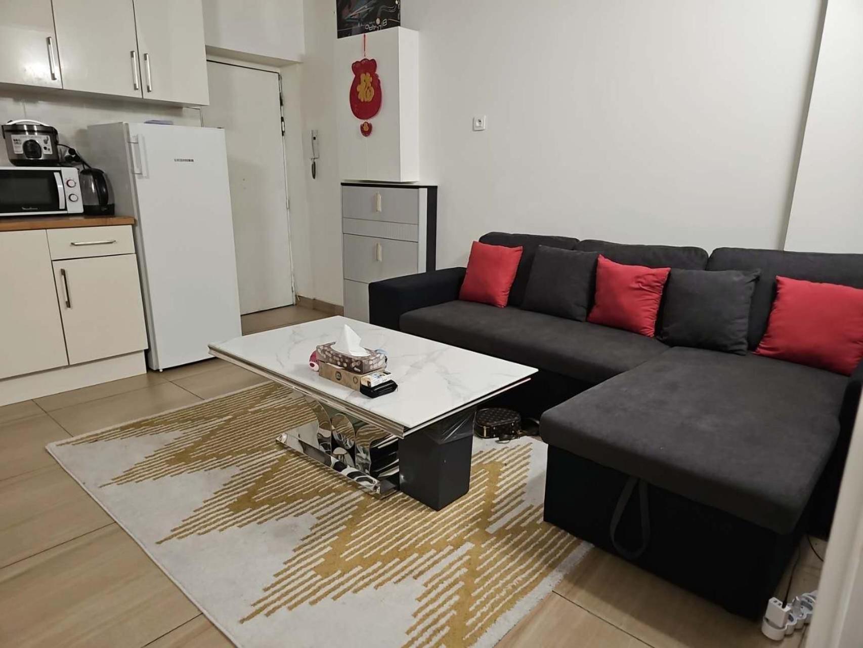 Apartment 休闲民宿 Paris