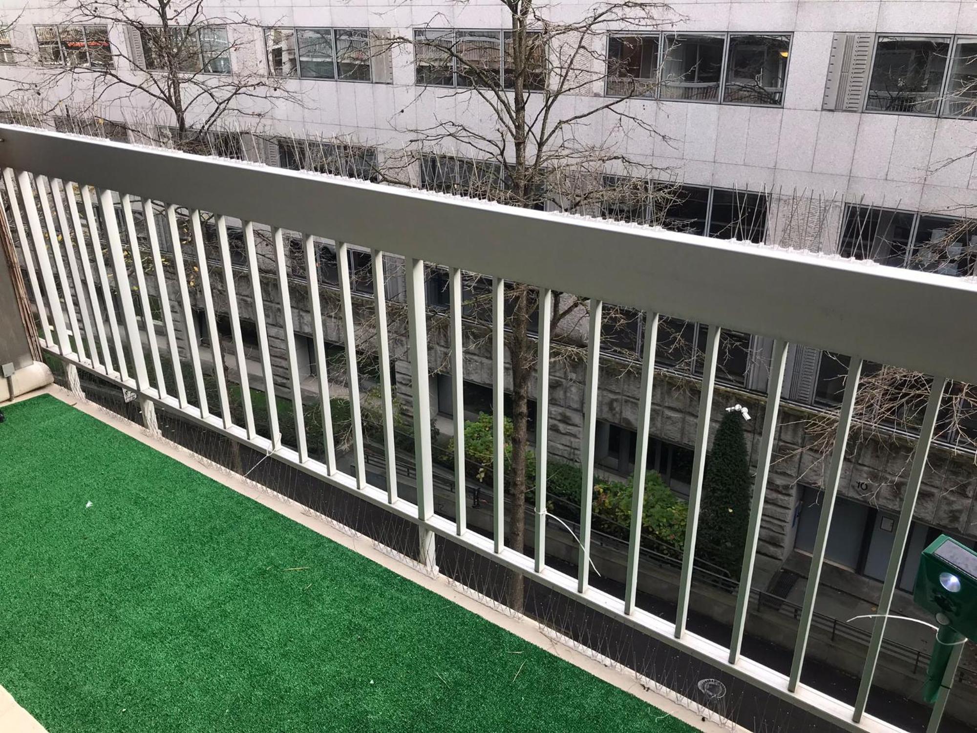Studio 31m2 Plein Est Avec Balcon Laumiere Appartamento