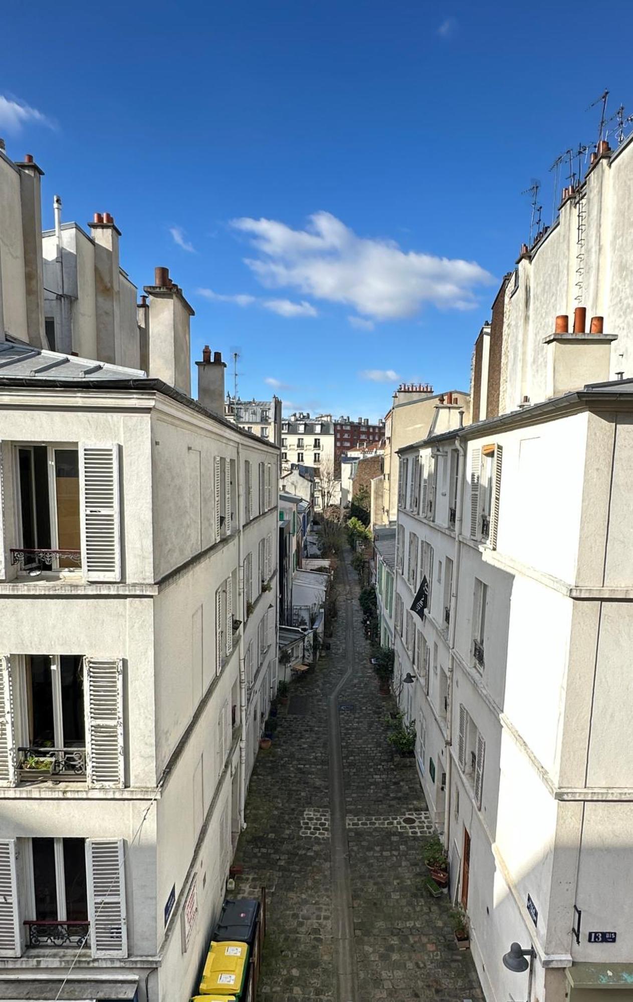 - Buttes Chaumont's Park -entire Flats Paris