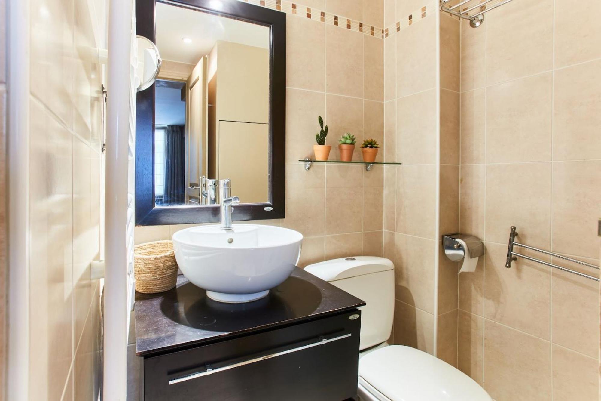 Apartment Latin *