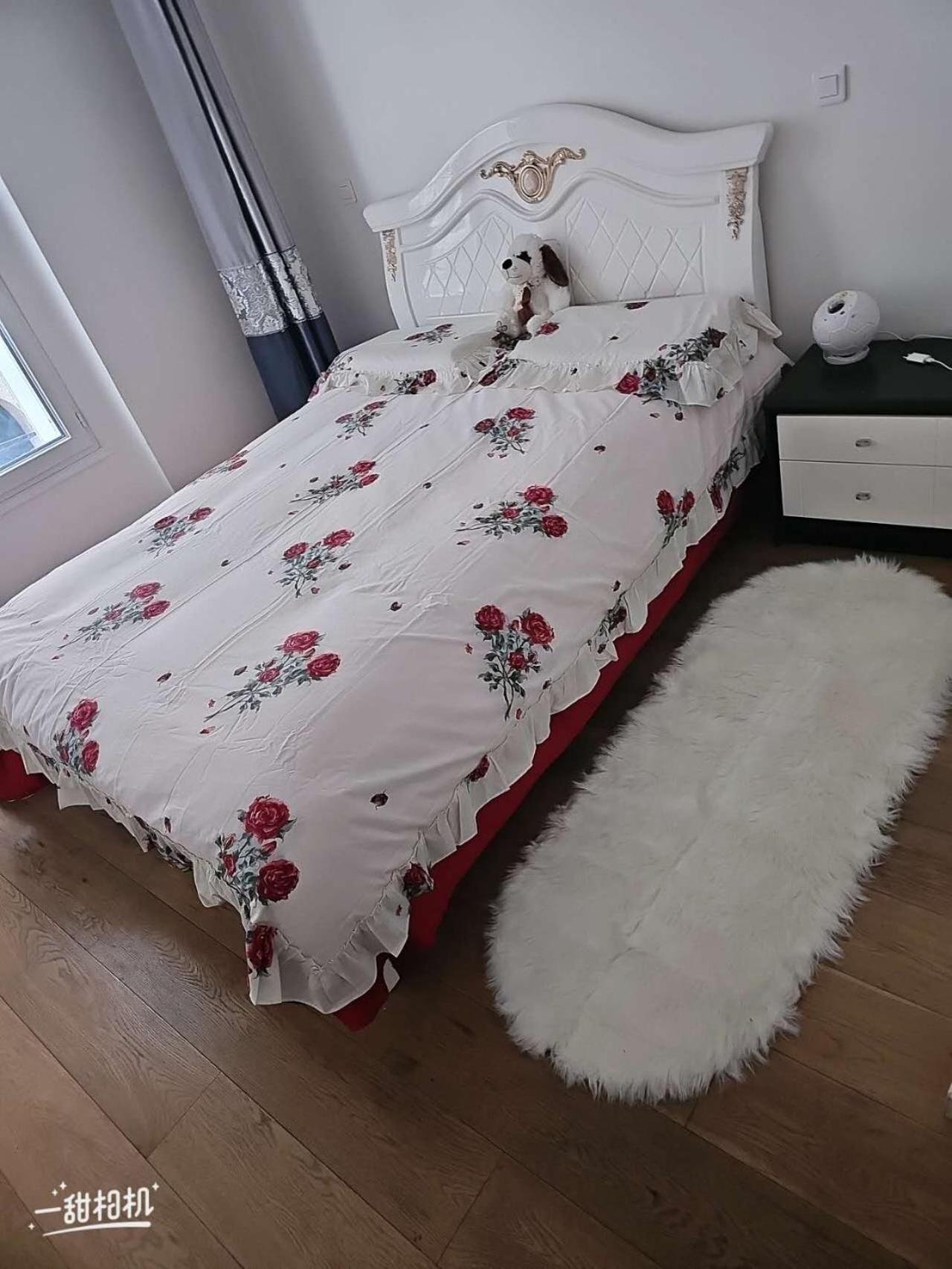 休闲民宿 Apartment Paris