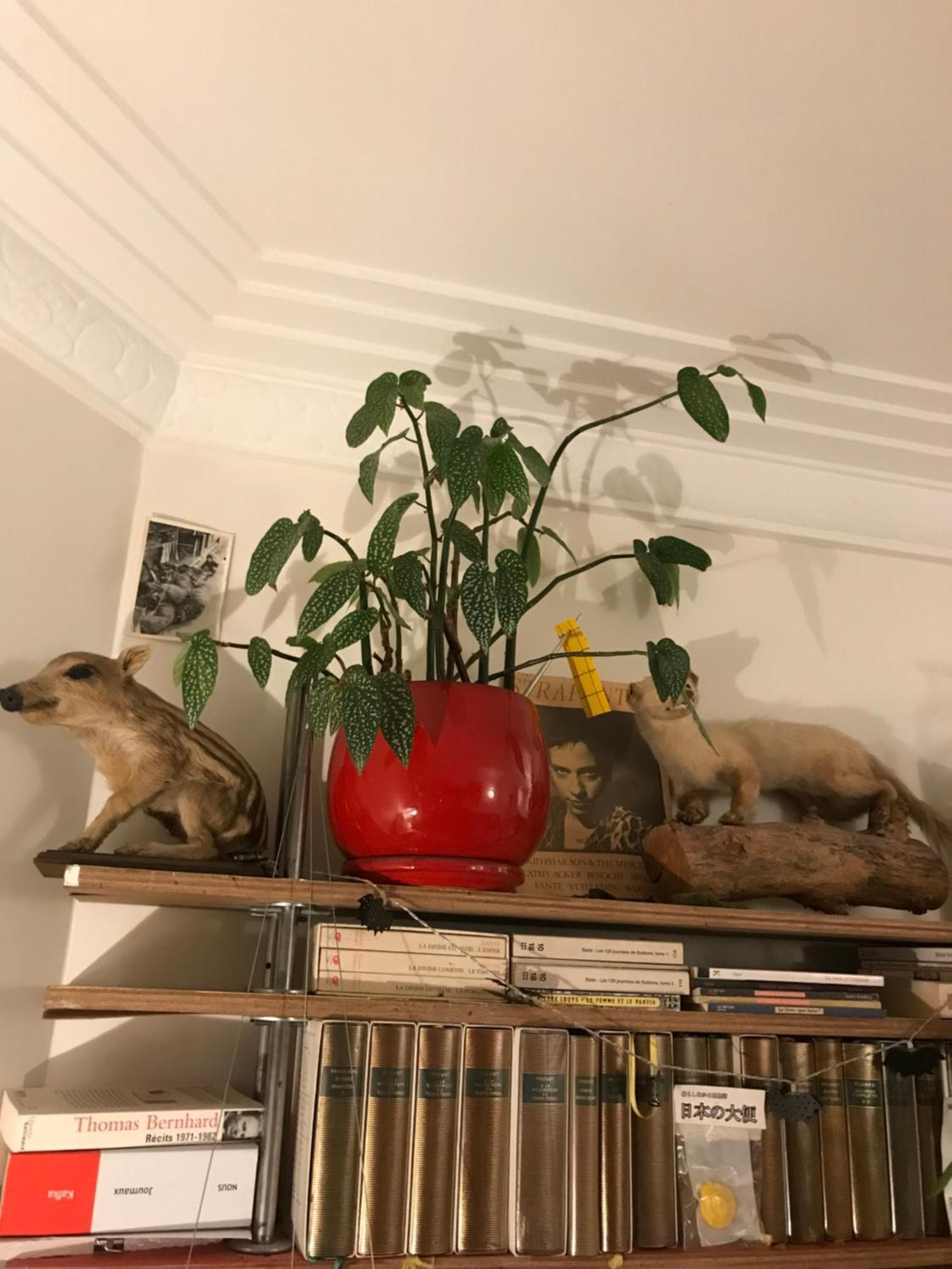 Apartment Le Nid D'aigle Paris