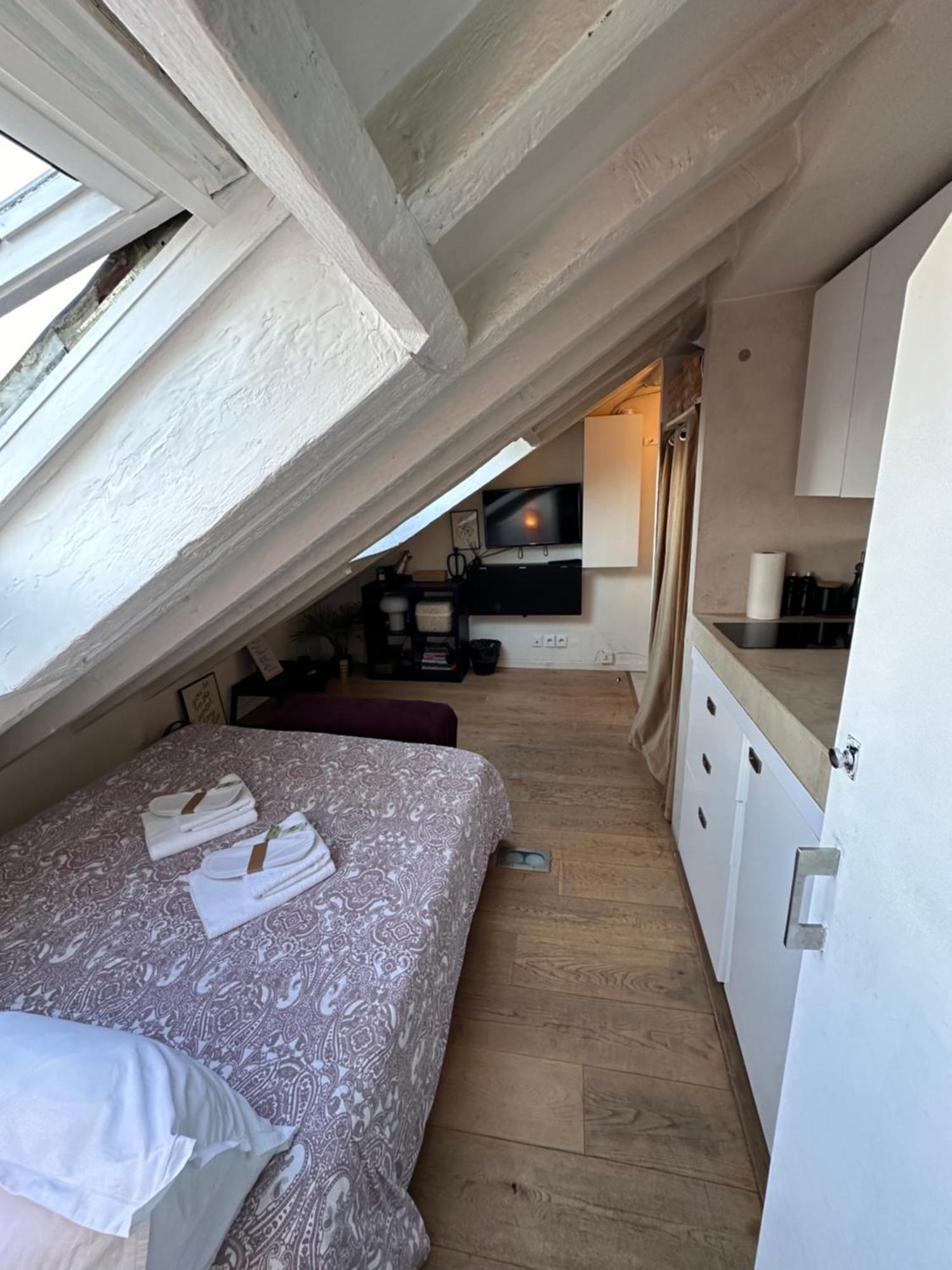 Marais Rooftop Studio - Metro Filles Du Calvaire Appartamento
