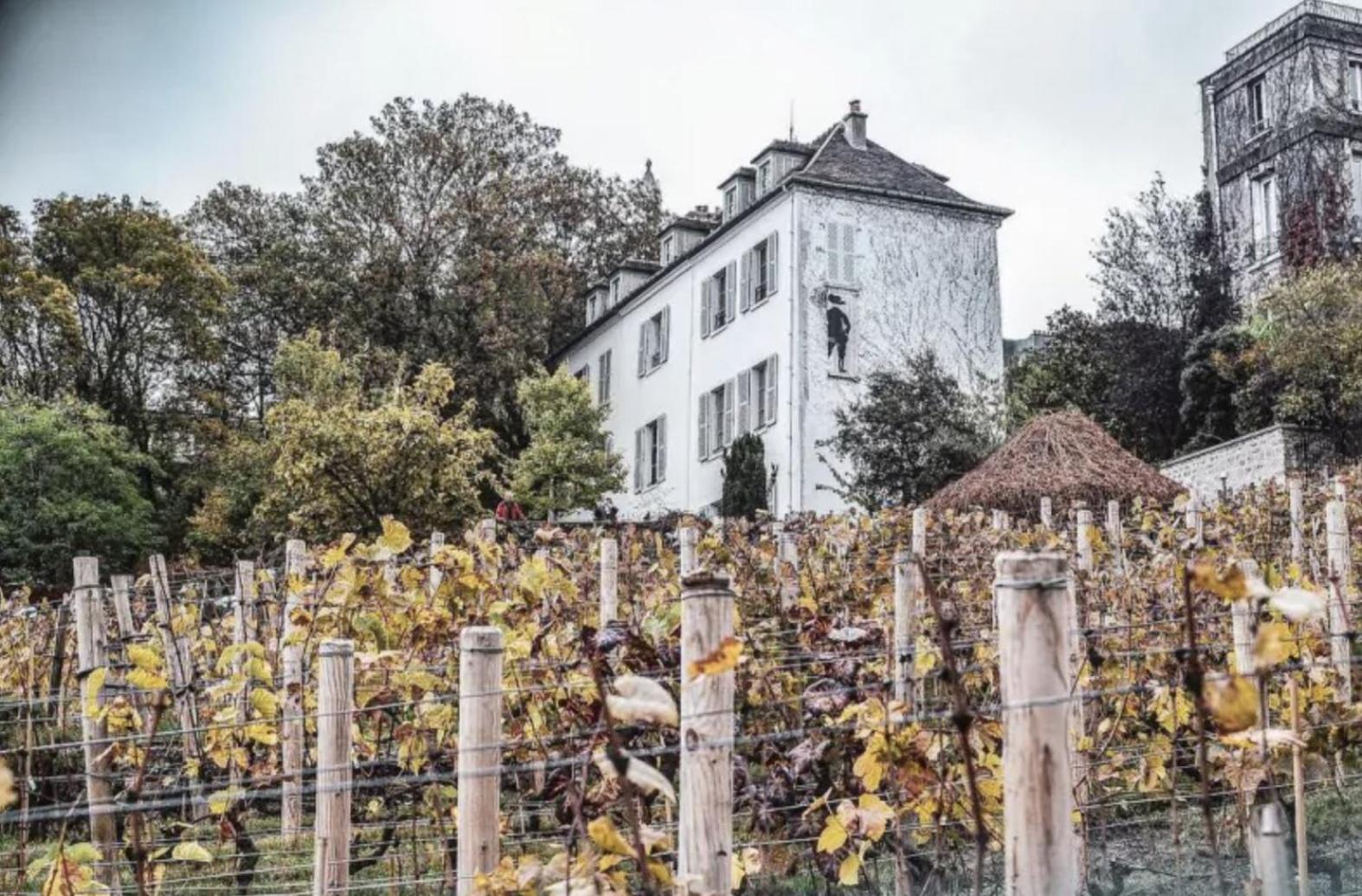 Rare D'architecte En De Montmartre *